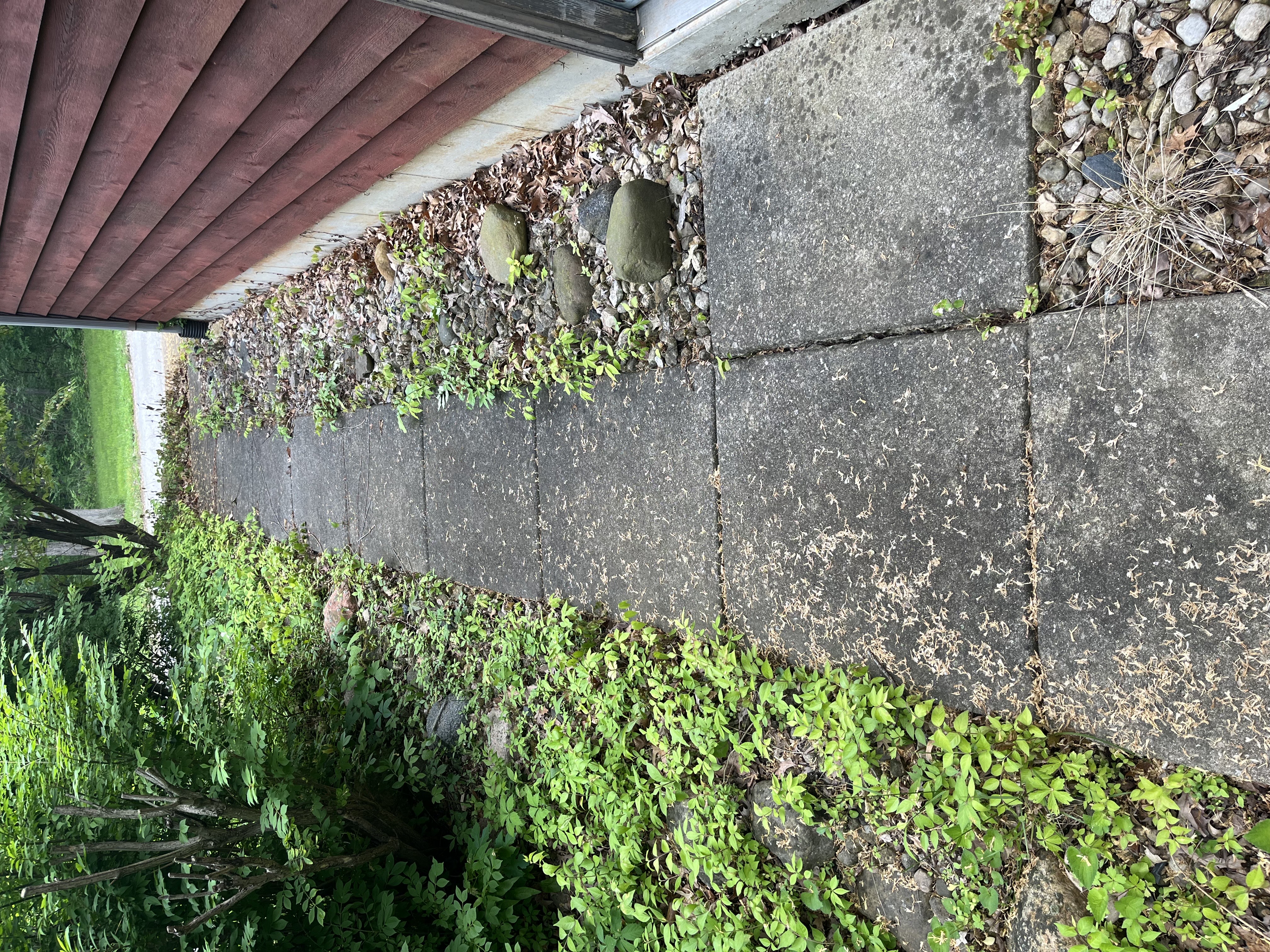 Sidewalk before cleaning